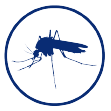 mosquito icon