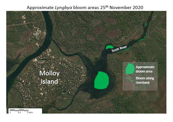 Map image of algal bloom in the Scott River basin