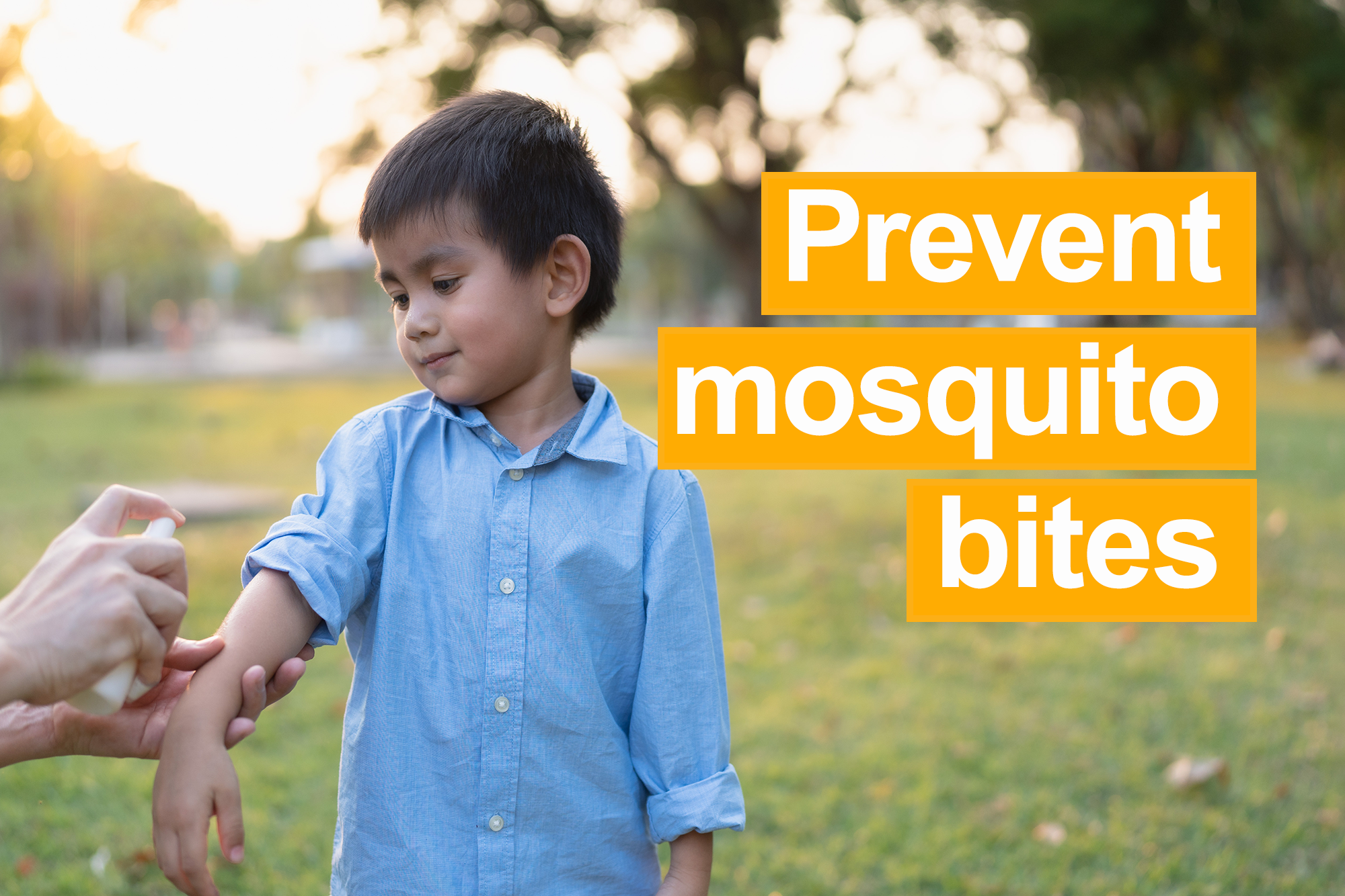 Prevent mosquito bites