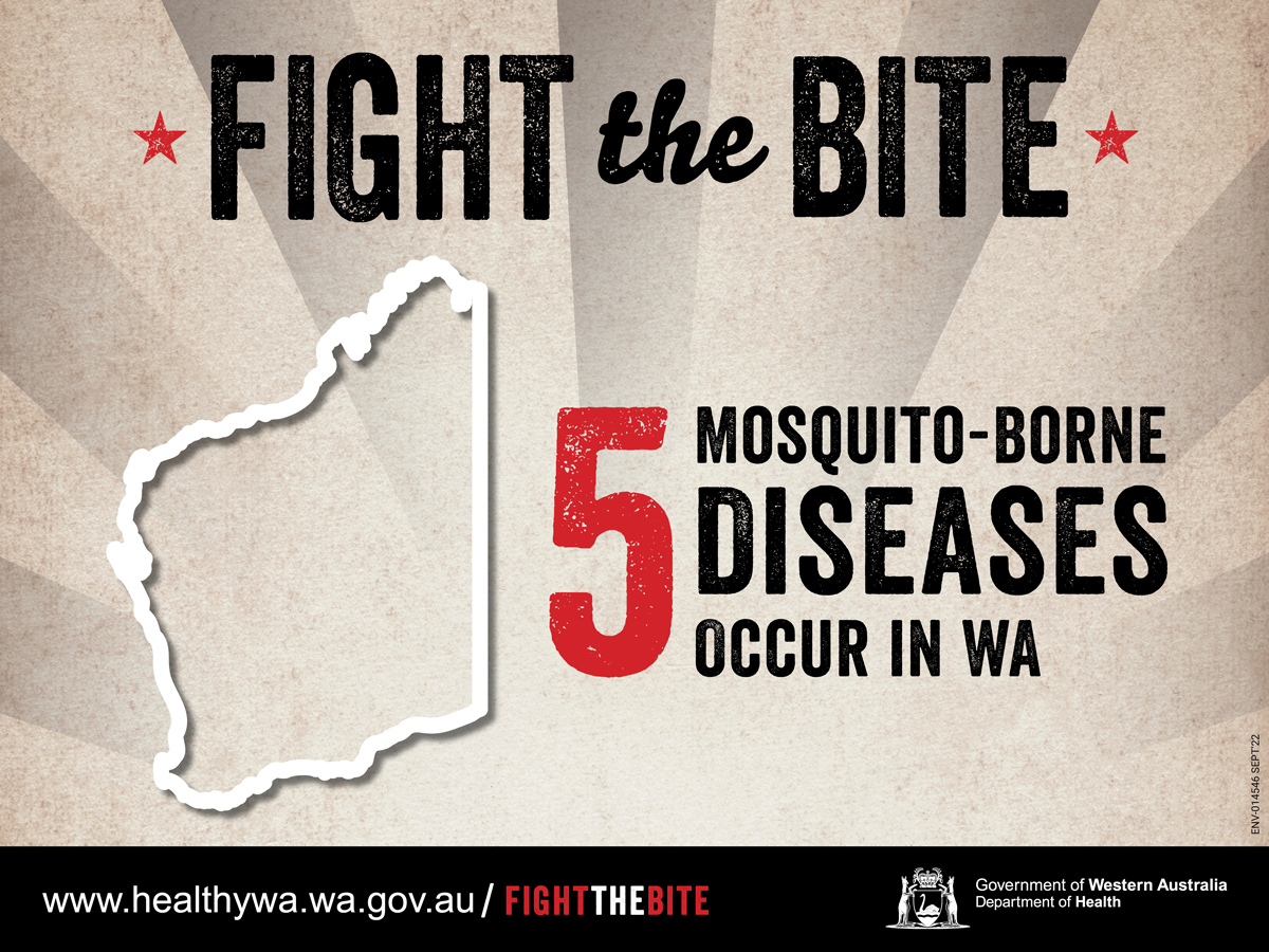 Fight the bite facebook infographic 2