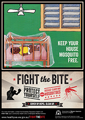 Poster: fight the bite indigenous communities 4