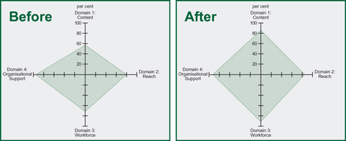 The following diagrams illustrate how the QSAF identified areas for improvement in content and workforce capacity for a self-management program.