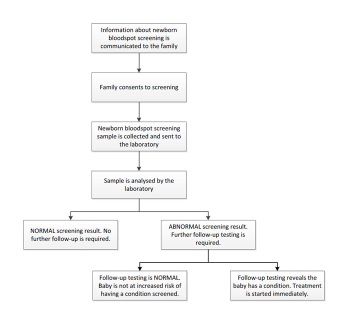 The newborn bloodspot screening pathway