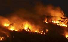 Emergency management