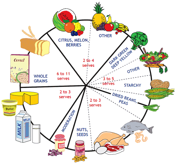 Food wheel showing recommended intakes 2-4 serves fruit, 3-5 serves vegetables, 2-3 serves protein, moderate sweets, 2-3 serves dairy, 6-11 serves whole grains