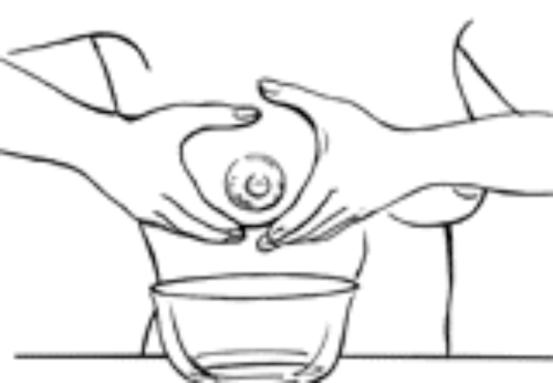Drawing showing where hands should be placed to start the letdown process