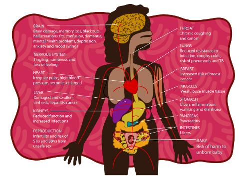 Aboriginal female body featuring individual body parts including a detailed reproductive system featuring baby in womb – long description available