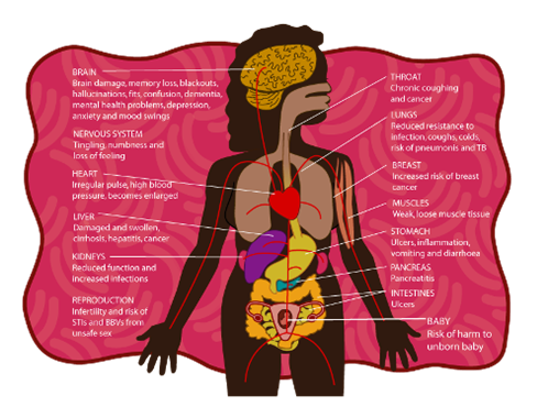 Aboriginal female body featuring individual body parts including a detailed reproductive system featuring baby in womb – long description available
